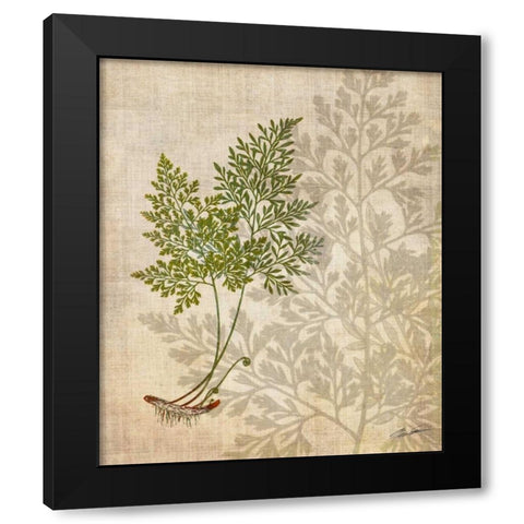 British Ferns IV Black Modern Wood Framed Art Print with Double Matting by Butler, John