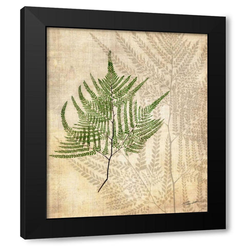 British Ferns V Black Modern Wood Framed Art Print by Butler, John