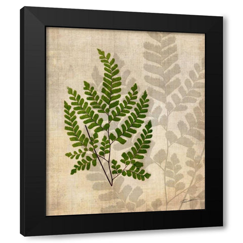 British Ferns VI Black Modern Wood Framed Art Print by Butler, John