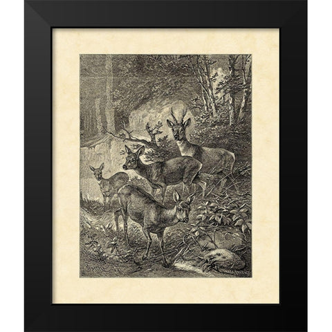 Vintage Roe Deer I Black Modern Wood Framed Art Print by Specht, Friedrich