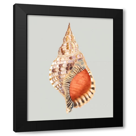 Giant Triton Black Modern Wood Framed Art Print by Willett, Michael