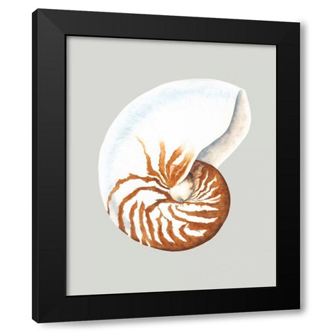 Nautilus Black Modern Wood Framed Art Print by Willett, Michael