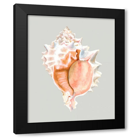 Pink Murex Black Modern Wood Framed Art Print with Double Matting by Willett, Michael