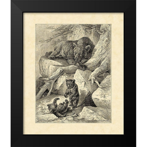 Vintage Common Brown Bear Black Modern Wood Framed Art Print by Specht, Friedrich