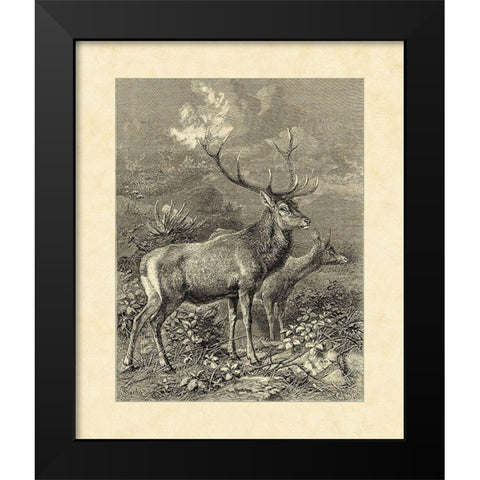 Vintage Roe Deer II Black Modern Wood Framed Art Print by Specht, Friedrich