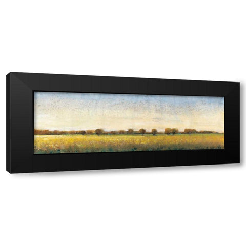 Flowering Meadow I Black Modern Wood Framed Art Print with Double Matting by OToole, Tim