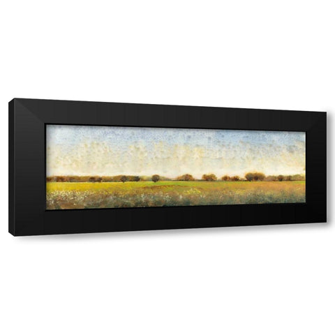 Flowering Meadow II Black Modern Wood Framed Art Print with Double Matting by OToole, Tim