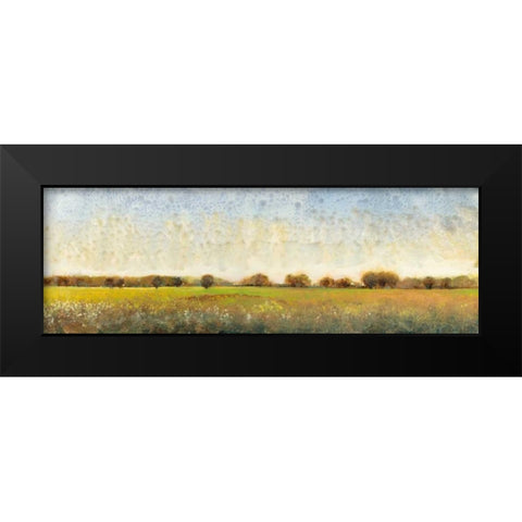 Flowering Meadow II Black Modern Wood Framed Art Print by OToole, Tim