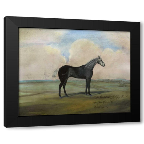 The Kicker- A Steel Grey Racehorse Black Modern Wood Framed Art Print by McCavitt, Naomi