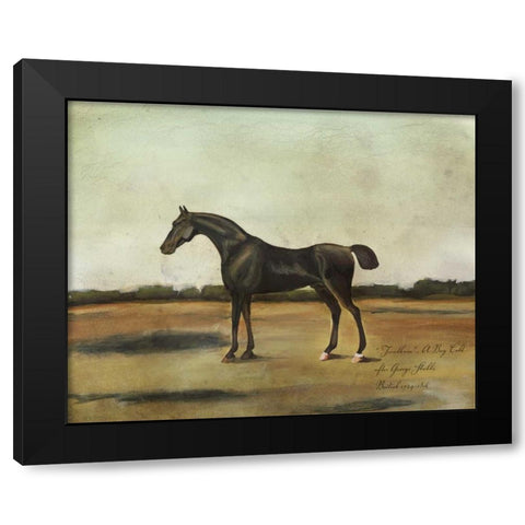 Trentham- A Bay Colt Black Modern Wood Framed Art Print by McCavitt, Naomi