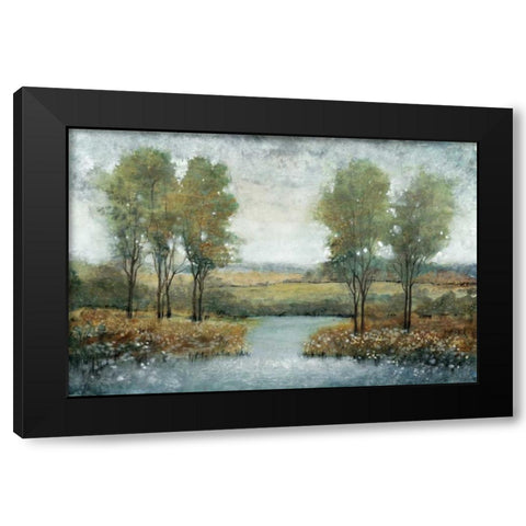 Stream Side II Black Modern Wood Framed Art Print by OToole, Tim