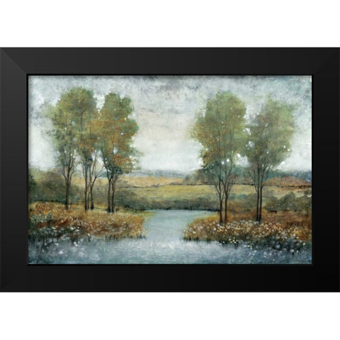 Stream Side II Black Modern Wood Framed Art Print by OToole, Tim