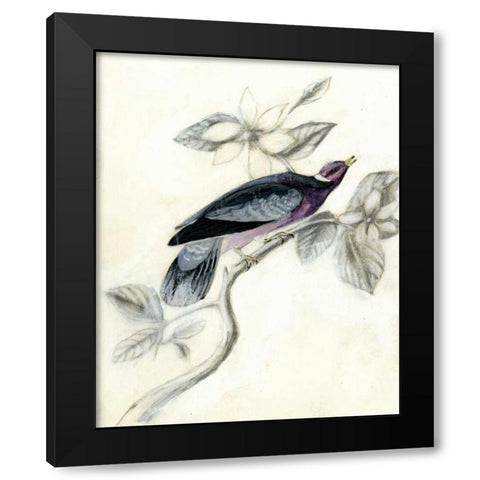 Rustic Aviary I Black Modern Wood Framed Art Print with Double Matting by McCavitt, Naomi