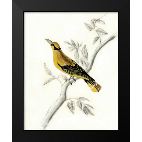 Rustic Aviary II Black Modern Wood Framed Art Print by McCavitt, Naomi