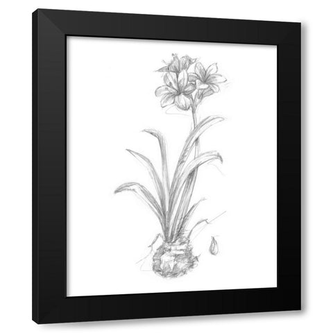 Botanical Sketch II Black Modern Wood Framed Art Print with Double Matting by Harper, Ethan