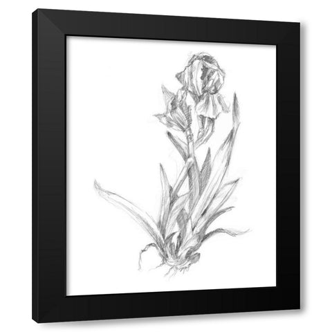 Botanical Sketch VI Black Modern Wood Framed Art Print by Harper, Ethan