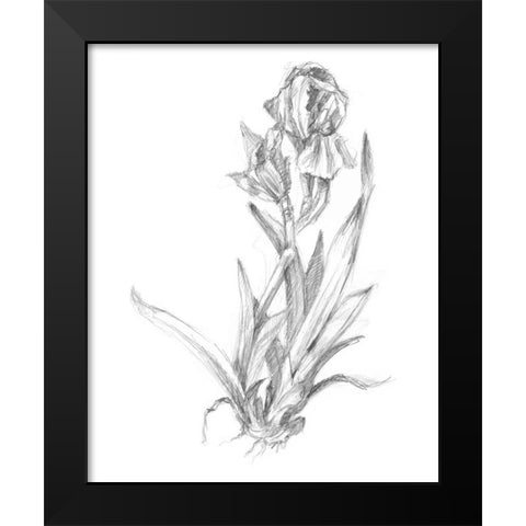 Botanical Sketch VI Black Modern Wood Framed Art Print by Harper, Ethan