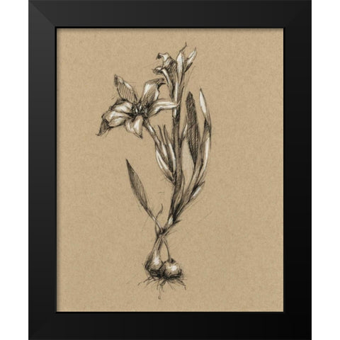 Botanical Sketch Black and White I Black Modern Wood Framed Art Print by Harper, Ethan