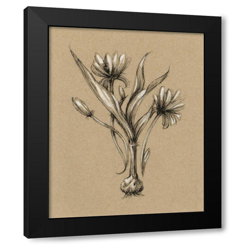 Botanical Sketch Black and White III Black Modern Wood Framed Art Print with Double Matting by Harper, Ethan