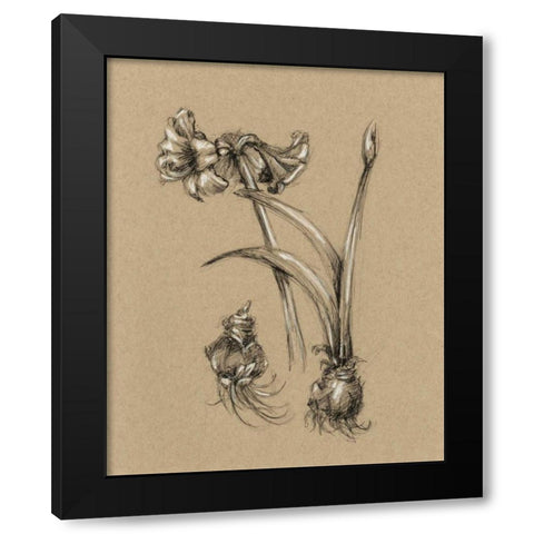 Botanical Sketch Black and White IV Black Modern Wood Framed Art Print by Harper, Ethan