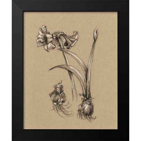 Botanical Sketch Black and White IV Black Modern Wood Framed Art Print by Harper, Ethan