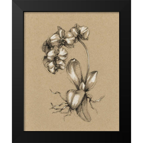 Botanical Sketch Black and White V Black Modern Wood Framed Art Print by Harper, Ethan