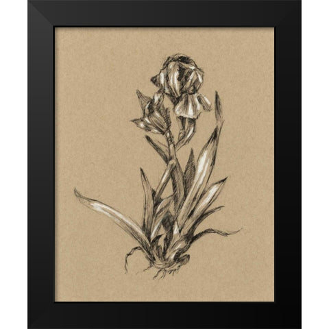 Botanical Sketch Black and White VI Black Modern Wood Framed Art Print by Harper, Ethan