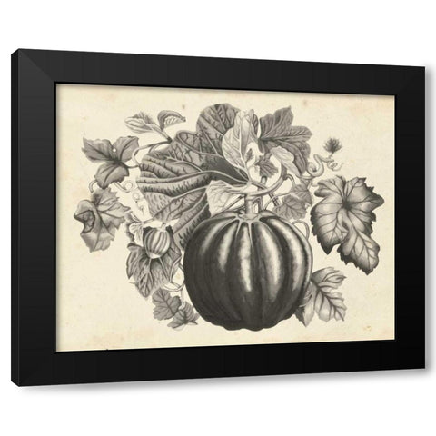 Sepia Squash I Black Modern Wood Framed Art Print by McCavitt, Naomi