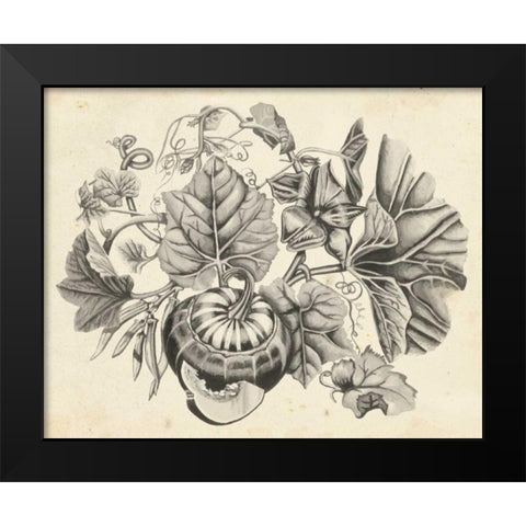 Sepia Squash II Black Modern Wood Framed Art Print by McCavitt, Naomi