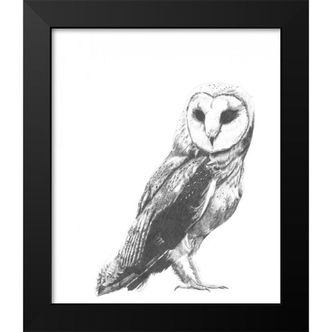 Wildlife Snapshot- Owl Black Modern Wood Framed Art Print by McCavitt, Naomi