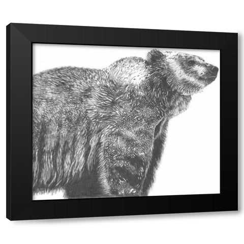 Wildlife Snapshot- Grizzly Black Modern Wood Framed Art Print with Double Matting by McCavitt, Naomi