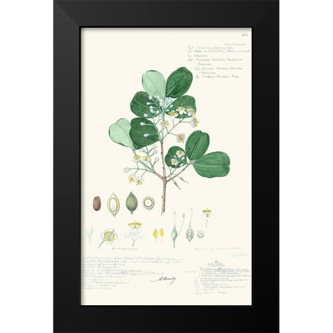 Delicate Descubes II Black Modern Wood Framed Art Print by A. Descubes