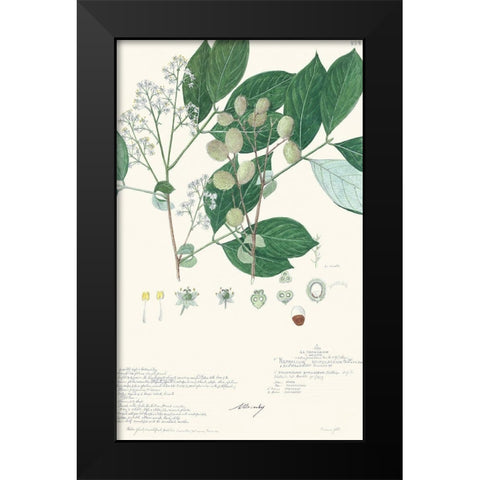 Delicate Descubes IV Black Modern Wood Framed Art Print by A. Descubes