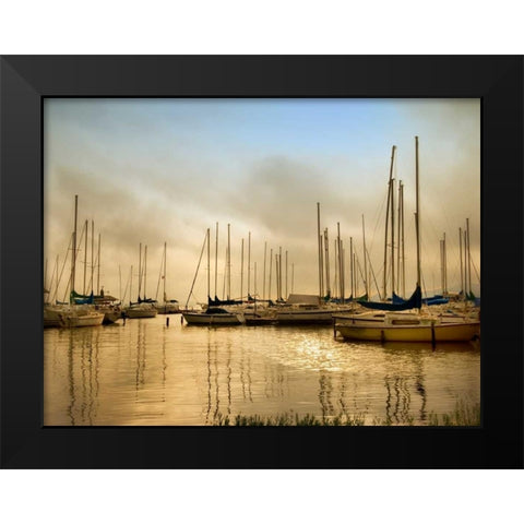 Morning Fog Black Modern Wood Framed Art Print by Head, Danny