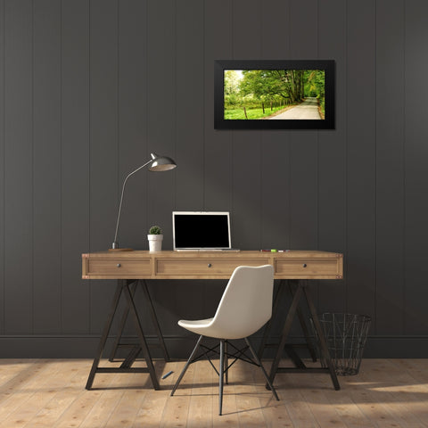 Over the Next Hill Black Modern Wood Framed Art Print by Head, Danny