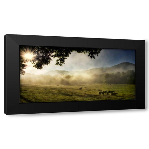 Running in the Mist Black Modern Wood Framed Art Print by Head, Danny