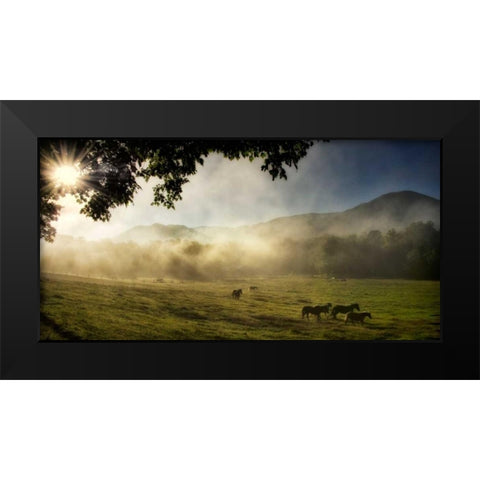 Running in the Mist Black Modern Wood Framed Art Print by Head, Danny