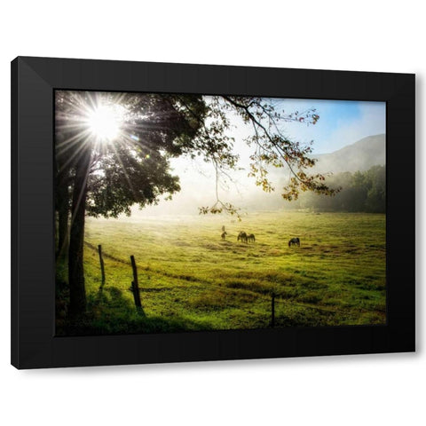 Morning Graze I Black Modern Wood Framed Art Print with Double Matting by Head, Danny