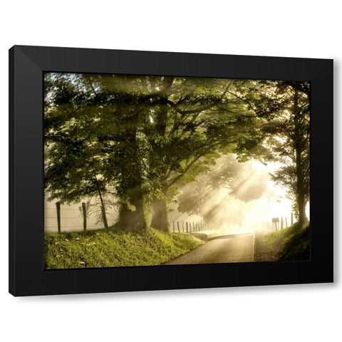 Fresh Morning I Black Modern Wood Framed Art Print by Head, Danny
