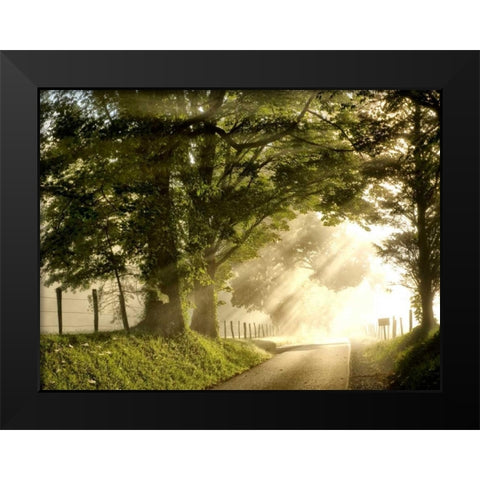 Fresh Morning I Black Modern Wood Framed Art Print by Head, Danny
