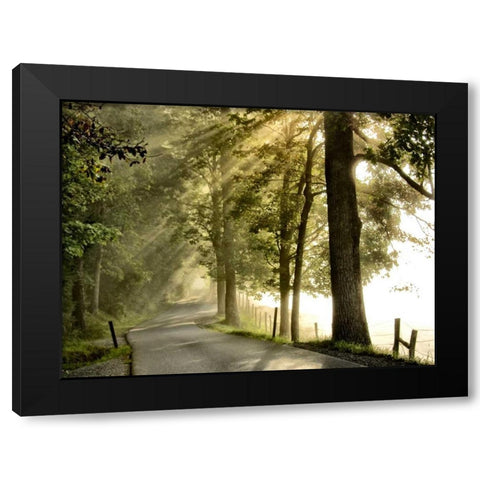 Fresh Morning II Black Modern Wood Framed Art Print with Double Matting by Head, Danny