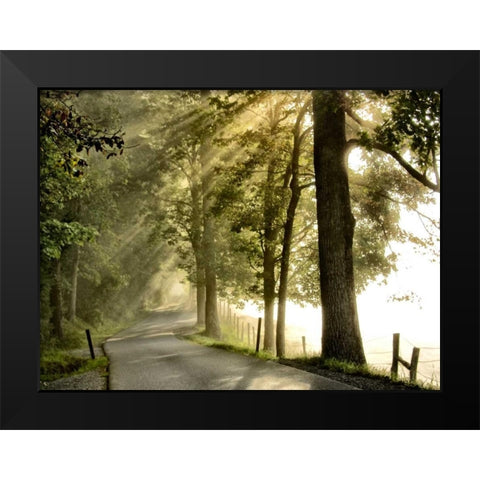 Fresh Morning II Black Modern Wood Framed Art Print by Head, Danny