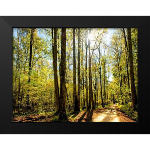 A Fresh New Morning Black Modern Wood Framed Art Print by Head, Danny