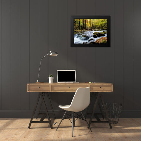 Over Flow I Black Modern Wood Framed Art Print by Head, Danny