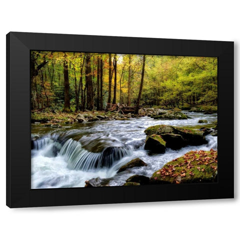 Over Flow I Black Modern Wood Framed Art Print with Double Matting by Head, Danny