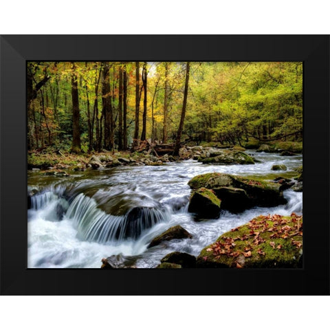 Over Flow I Black Modern Wood Framed Art Print by Head, Danny