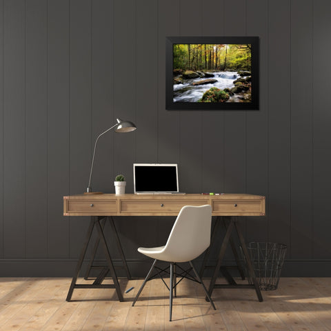 Over Flow II Black Modern Wood Framed Art Print by Head, Danny