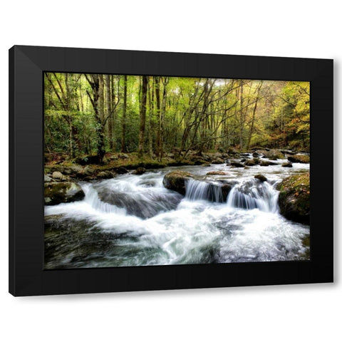 Waterslide Black Modern Wood Framed Art Print with Double Matting by Head, Danny