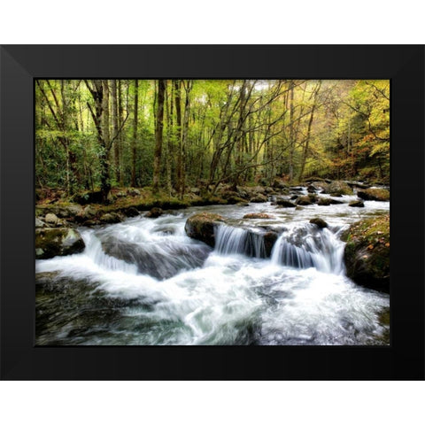 Waterslide Black Modern Wood Framed Art Print by Head, Danny