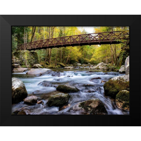 On the Rocks Black Modern Wood Framed Art Print by Head, Danny